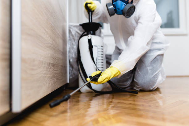 Best Best Pest Control Companies  in June Park, FL