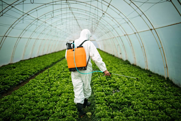 Professional Pest Control in June Park, FL