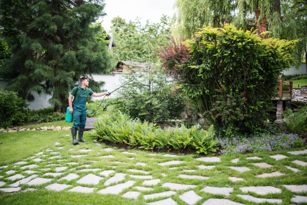 Best Pest Removal Services  in June Park, FL
