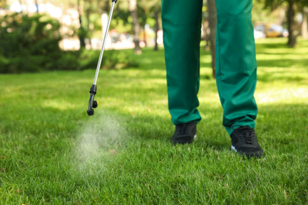 Best Affordable Pest Control Services  in June Park, FL